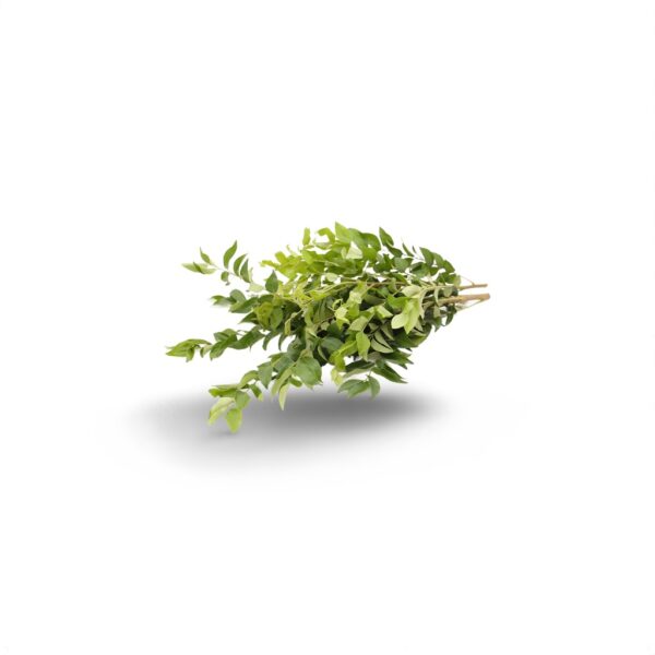 Curry leaves (கருவேப்பிலை)