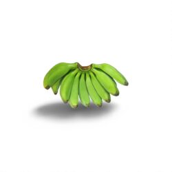 Plantain (வாழைக்காய்)
