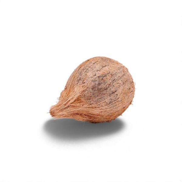 Coconut (தேங்காய்)