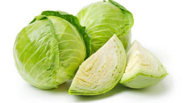 Cabbage (முட்டைக்கோசு)