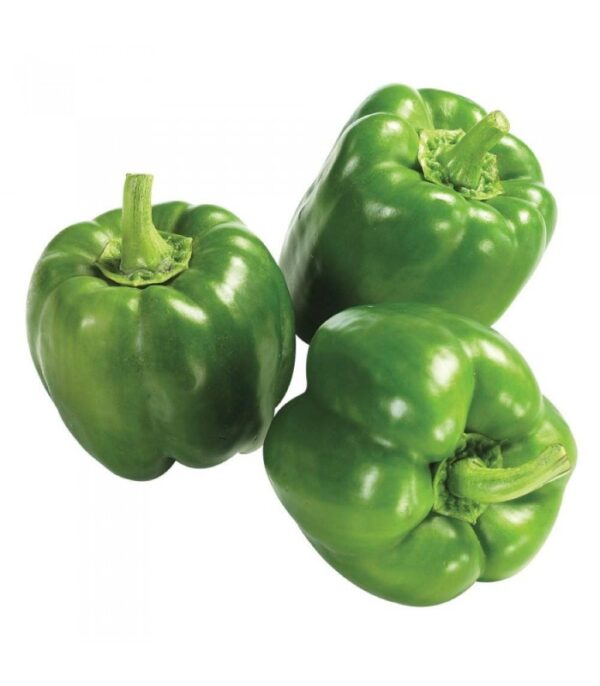 Capsicum (குடை மிளகாய்) Capsicum (குடை மிளகாய்)