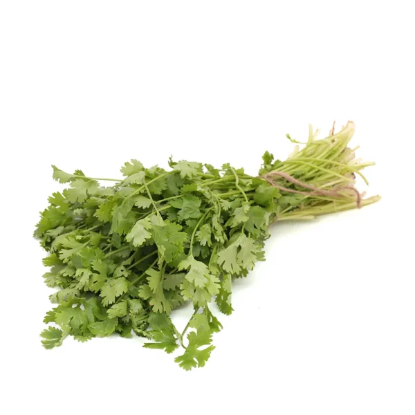 Coriander (கொத்தமல்லி)