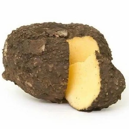 Elephant Yam (கருணைக்கிழங்கு)