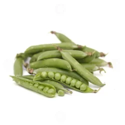 Peas (பட்டாணி)