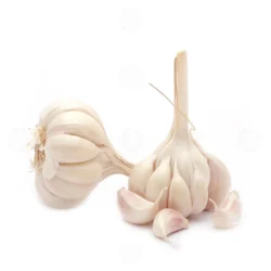 Garlic (பூண்டு)