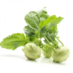 Kohlrabi Turnip ( நூல் கோல்)