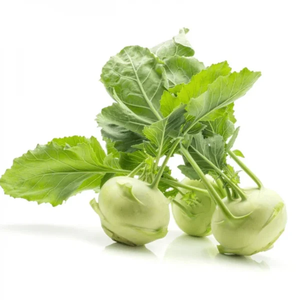 Kohlrabi Turnip ( நூல் கோல்)
