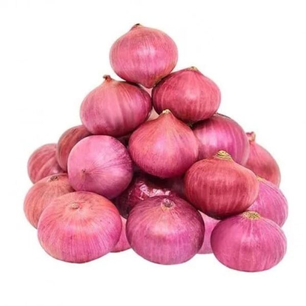 Onion (வெங்காயம்)