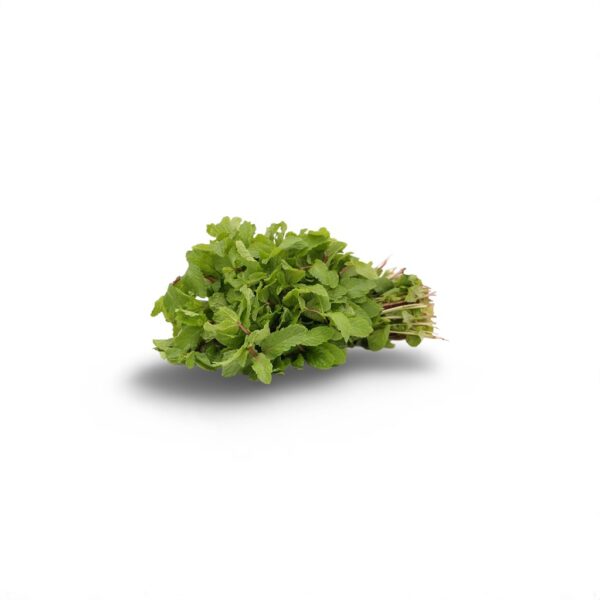 Mint Leaves (புதினா)